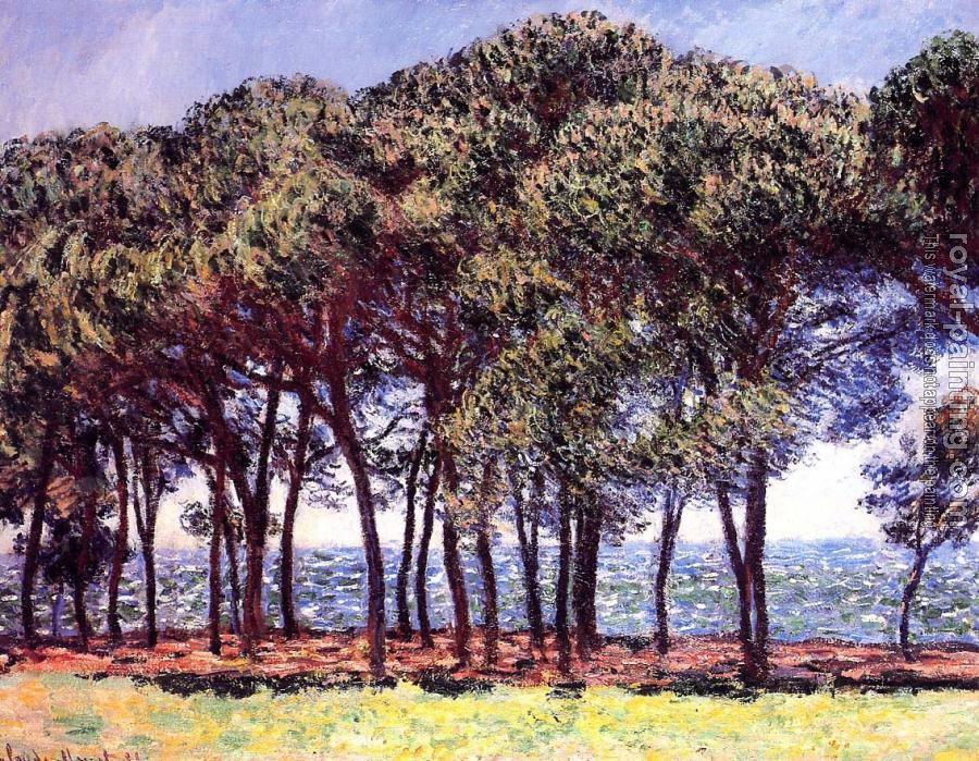 Claude Oscar Monet : Pine Trees, Cap d'Antibes